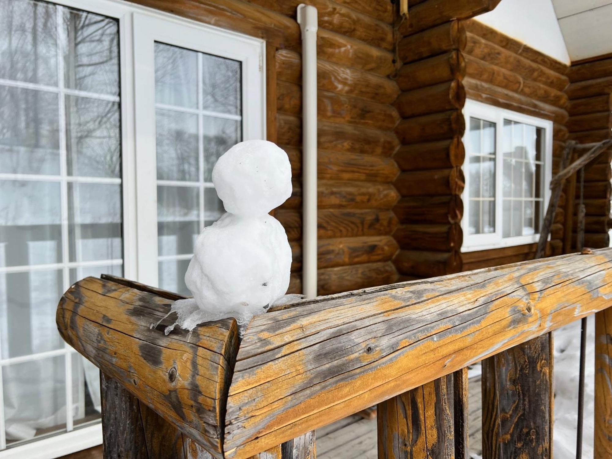 The Holiday home